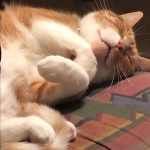 Meet your Posher, Kyla